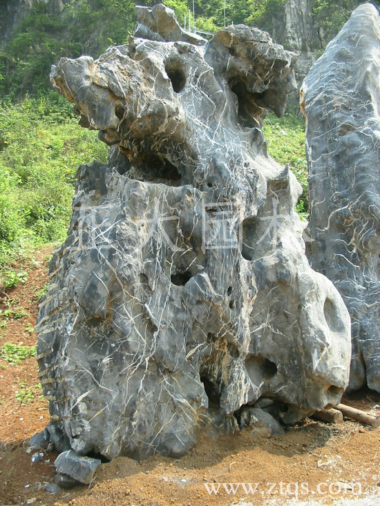 英德正太园林