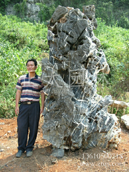 广东英德·正太园林