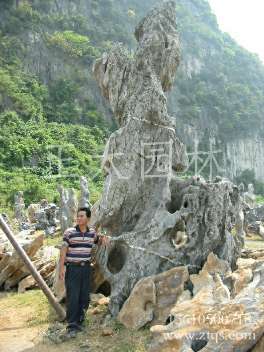 广东英德·正太园林