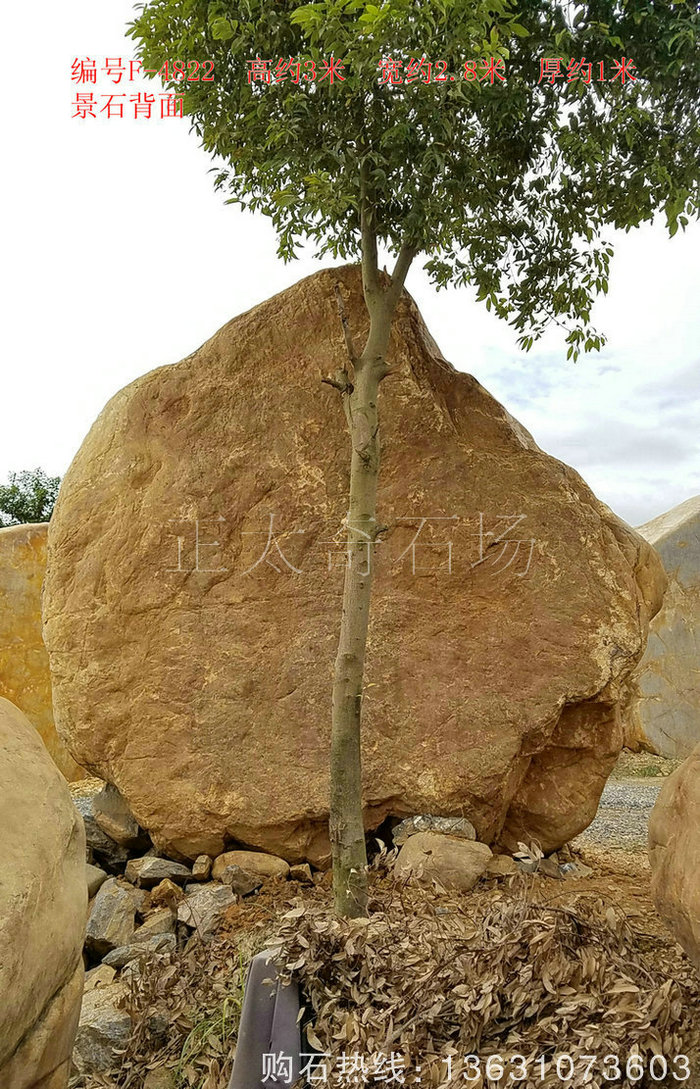 广东英德·正太园林