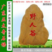 3.8米高广东黄蜡石 刻字景观石 编号B-2031