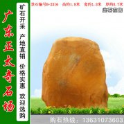 1.8米高广东黄蜡石 中小规格刻字石 编号B-2316