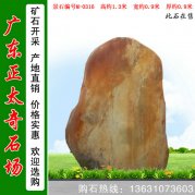 1.3米广东黄蜡石 小规格刻字景观石 编号M-0316