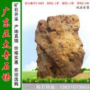 2.1米高广东奇石 天然造型石 编号Y-5903
