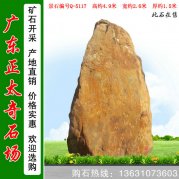 4.9米高广东黄蜡石 刻字景观石 编号Q-5117