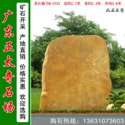 2.7米宽景观黄蜡石 校园刻字文化石 编号M-2732
