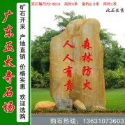 4米高广东黄蜡石 园林景观石 编号F2-3013