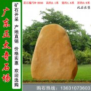 2.1米高广东黄蜡石 风景石 编号W-3936