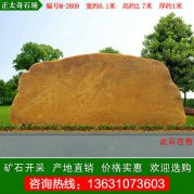  6.1米大型黄蜡石 校园刻字门面石 编号M-2809