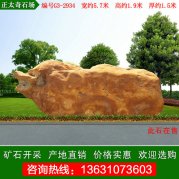  5.7米宽形状奇特黄蜡石 点缀观赏石 编号G3-2934