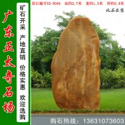  2.7米宽景观黄蜡石 校园文化石 编号Y2-5040
