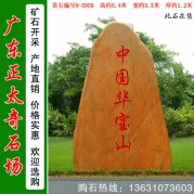  5.4米高广东黄蜡石景观石公园文化石编号N-5958