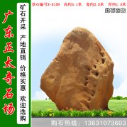 3.1高天然景观园林刻字绿化黄蜡石 编号X-5159