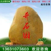 2.7米高直销供应广东黄蜡石 景观石 编号1824