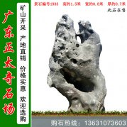 现货供应景观太湖石 草坪点景石 编号1933