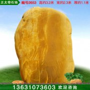 3.2米高广东黄蜡石 公园景观黄蜡石 编号2653
